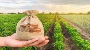 Inversiones en Agronegocios